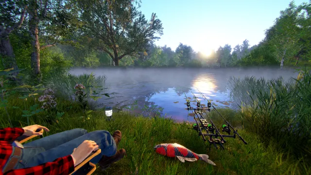Утренний лагерь с удилищами у озера в Russian Fishing 4
